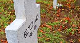 IMG_20201111_110312