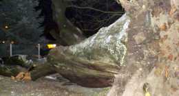 DSCF8960