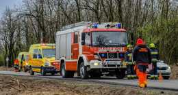 20260331-IMG_20260331_133156