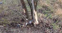 20250328-IMG_20250328_102339