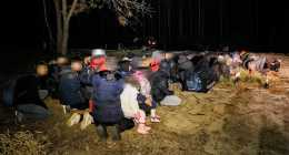 migransok-delalfoldinfo_A120025