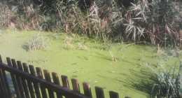 IMG_20140919_161332