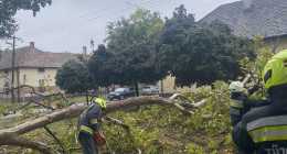 received_819202940385609