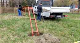 kutyafuttat3