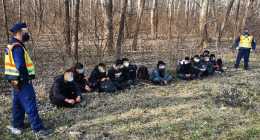 AnyConv.com__IMG_2341_0