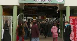 vasar