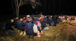 migransok-delalfoldinfo_A120024