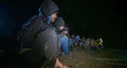 migrans-3