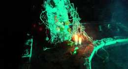 23131539_1680715381953405_1815279162_o