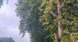 received_1439513049957262