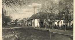 Kiskunhalas-7