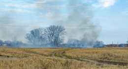 IMG_20230223_152418