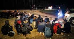 migransok-delalfoldinfo_A120034