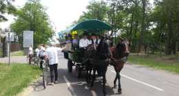 2014-06-02 12.56.25