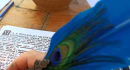 IMG_20200821_114234