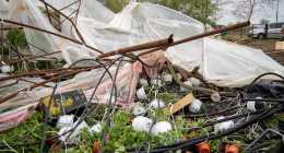 20250418-P4180077