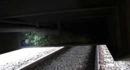 vlcsnap-2014-03-03-09h20m49s207