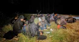 migransok-delalfoldinfo_A120005