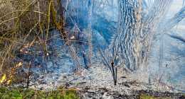 IMG_20230223_153657