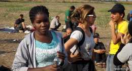 menekultek_halasinfo-hu_201508268