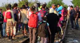 menekultek_halasinfo-hu_2015082672
