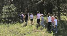 1-IMG_6636