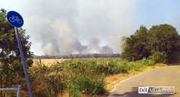 1-IMG_20220719_152540