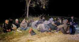 migransok-delalfoldinfo_A120004