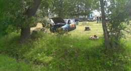 IMAG0244