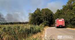 1-IMG_20220719_154437