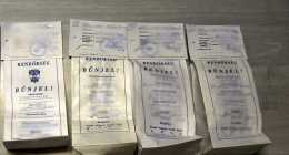 AnyConv.com__DSC_0196_1