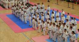 ZOL_1702