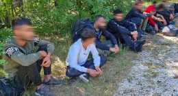 migrans-delalfoldinfo.hu20220709_105300