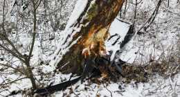20260103-IMG_20260103_100810