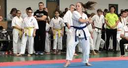 IMG-9c0d2a84920d8b37b60159e470203668-V