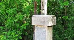 IMG_20200606_103420