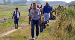 menekultek_halasinfo-hu_2015082619