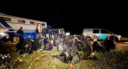 migransok-delalfoldinfo_A120082