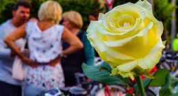 IMG_20190719_200241