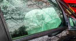 20251128-IMG_20251128_151724