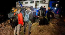 migransok-delalfoldinfo_A120074
