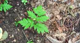 IMG_20200722_100016