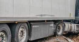 20260331-IMG_20260331_140446