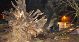 DSCF8952