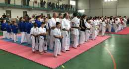 IMG-6de0f6a904f9c875d34adc1c6a2516d5-V