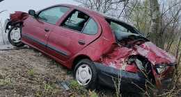 20250328-IMG_20250328_102900