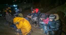 migrans-1