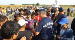 menekultek_halasinfo-hu_201508267