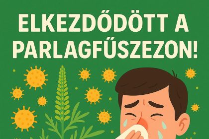 Illusztráció egy tüsszögő, orrát zsebkendővel megtörlő férfiról, körülötte lebegő pollen és egy nagy parlagfű növény. A fenti magyar szöveg így szól: Elkezdődött a parlagfűszezon!".